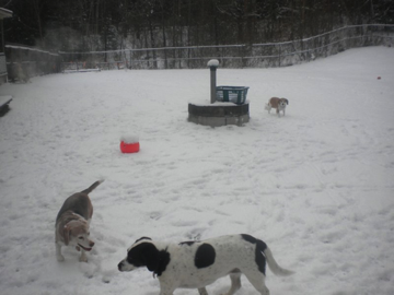 Dolby, Sadie & Ruby